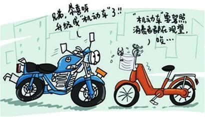 養(yǎng)貓或致精神分裂？草莓掉色是染色了？3月謠言逐個(gè)滅