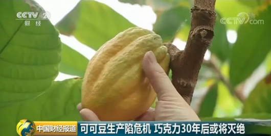 養(yǎng)貓或致精神分裂？草莓掉色是染色了？3月謠言逐個滅