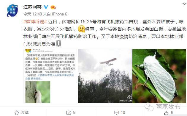 養(yǎng)貓或致精神分裂？草莓掉色是染色了？3月謠言逐個(gè)滅