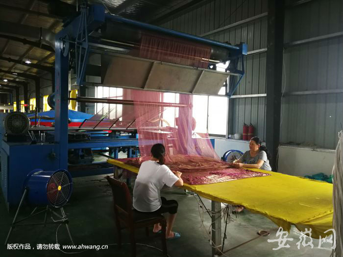 QQ圖片20190705094428